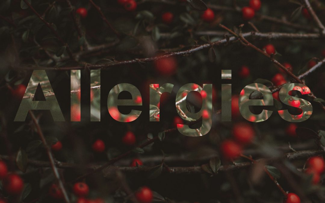 The connection between allergies and probiotics