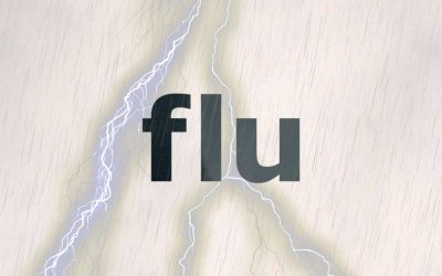 Probiotics and flu