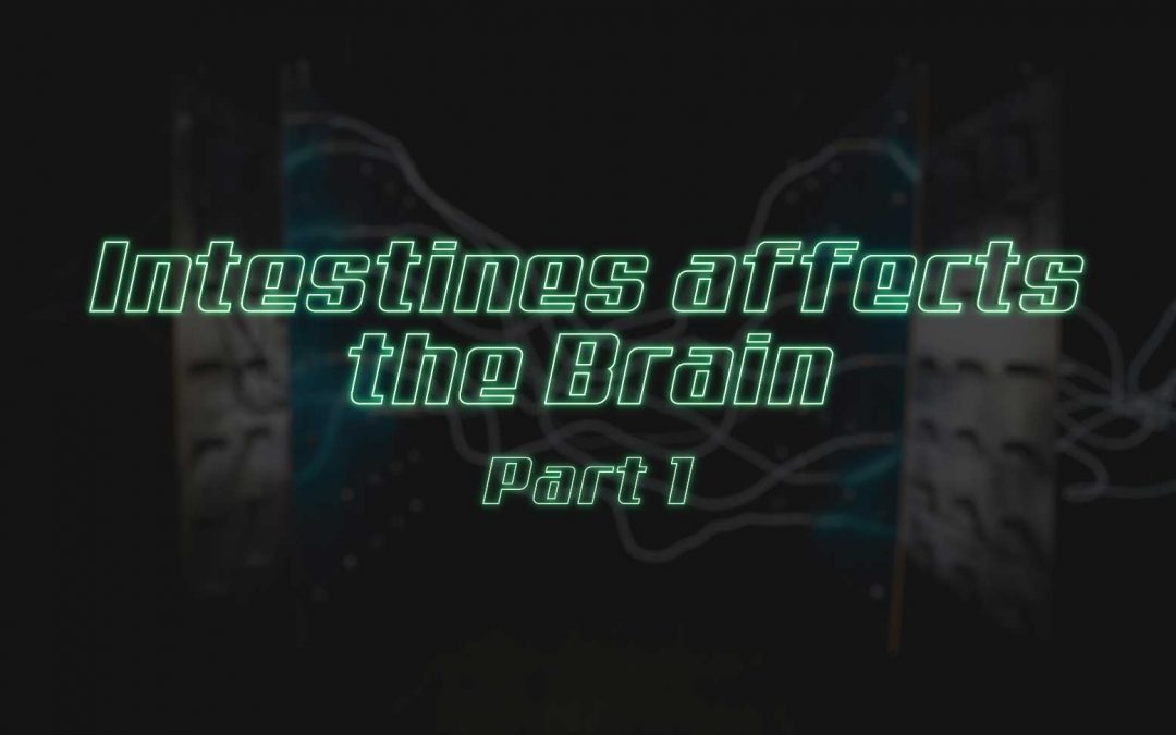 Intestines affects the brain