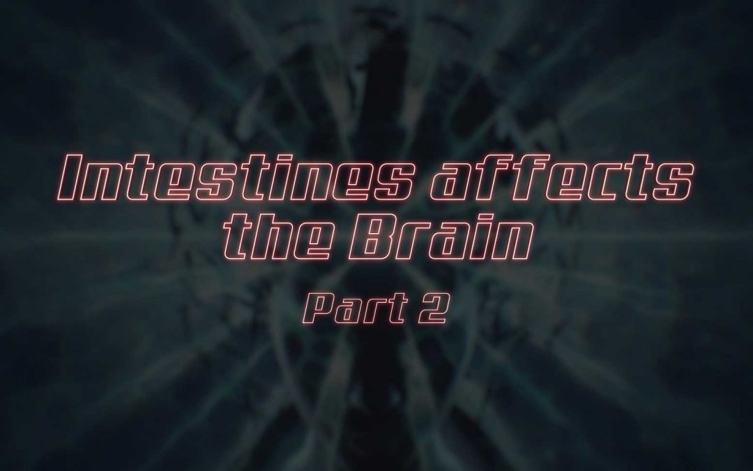Intestines affects the brain Part II