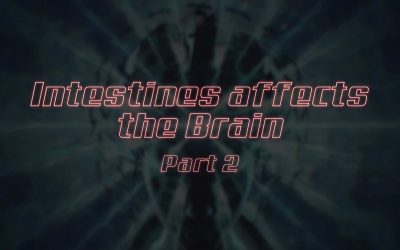 Intestines affects the brain Part II