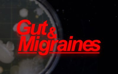 Migraines could be caused by gut bacteria