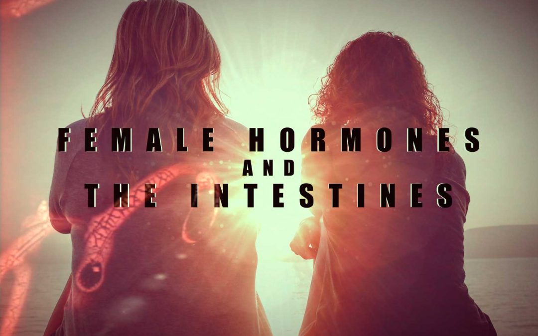 Female hormones and intestines