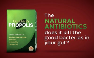 Propolis the natural antibiotics
