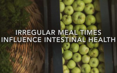 Irregular meal times influence intestinal health