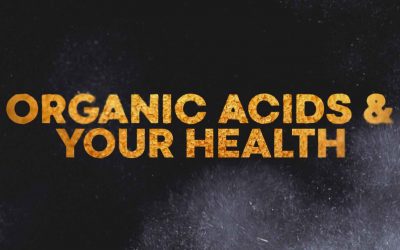 ORGANIC ACIDS & YOUR HEALTH
