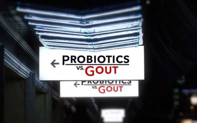 Can probiotics offer a natural alternative for gout sufferers?