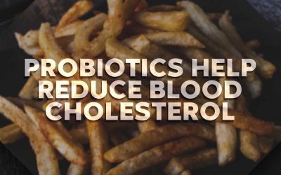 Probiotics help reduce blood cholesterol