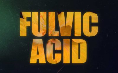 Fulvic Acid