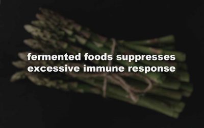 A diet high in fermented foods increases the diversity of gut bacteria and suppresses excessive immune response