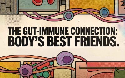 Your Gut and Your Immune System